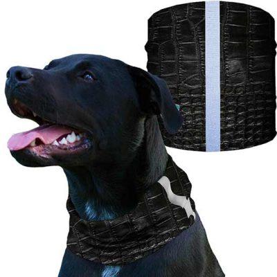 Dog Shields | Alligator Skin