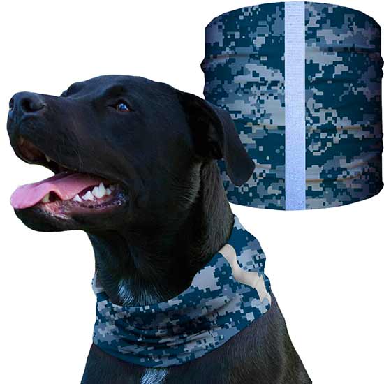 Dog Shieldss | Blue Digi - SA Company 