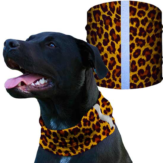 Dog Shieldss | Cheetah - SA Company 