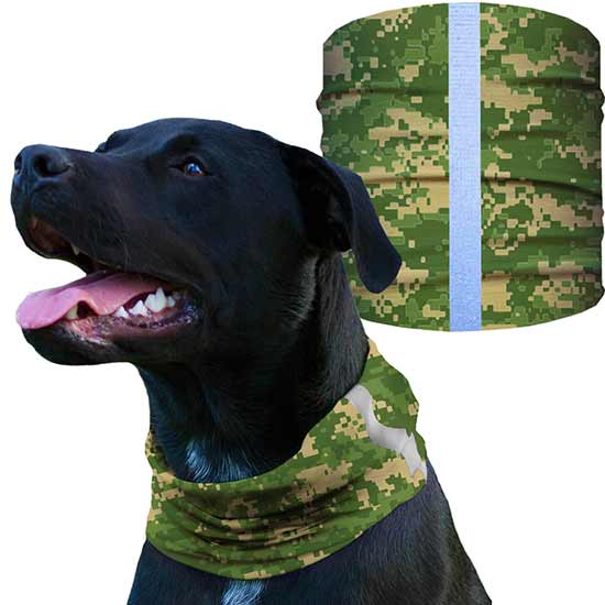 Dog Shields | Green Digi