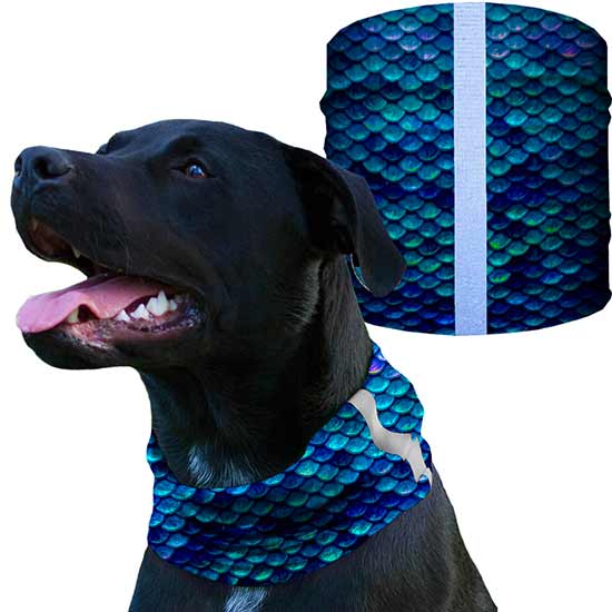 Dog Shieldss | Mermaid Scales - SA Company 