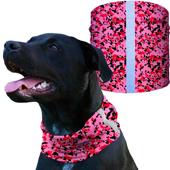 Dog Shieldss | Pink Digi - SA Company 