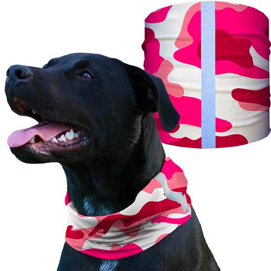 Dog Shields | Pink Camo