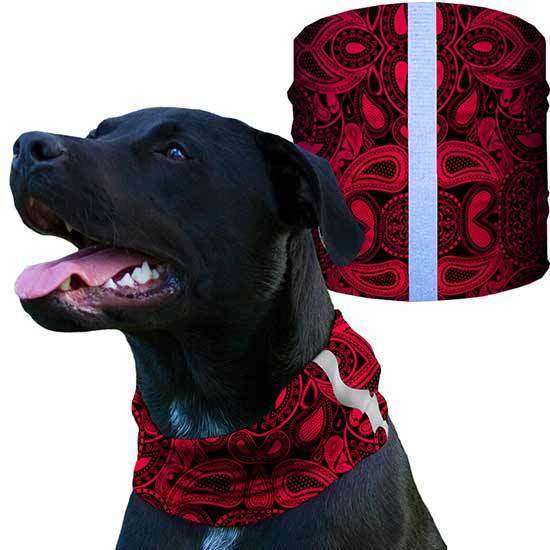 Dog Shieldss | SA Pink Paisley - SA Company 