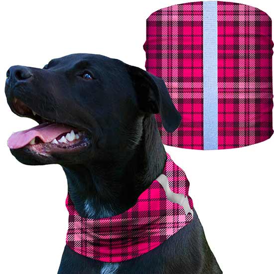 Dog Shieldss | Pink Plaid - SA Company 