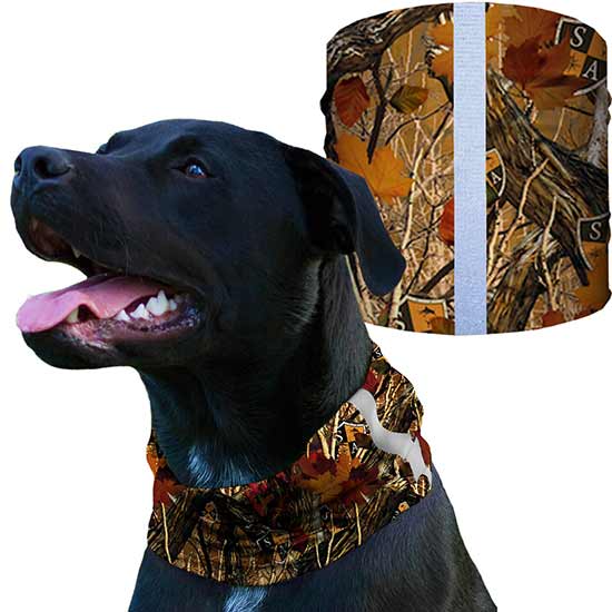 Dog Shieldss | SA Forest Camo - SA Company 