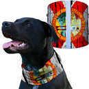 Dog Shieldss | SA Company Florida - SA Company 