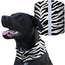 Dog Shields | Zebra Stripes