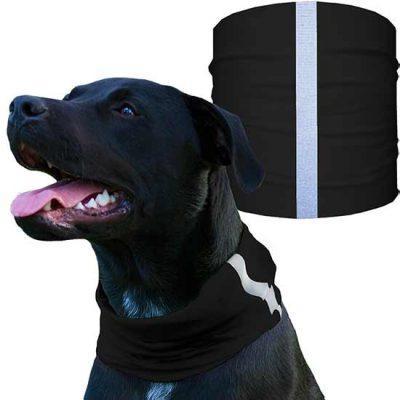 Dog Shields | Tactical | Black