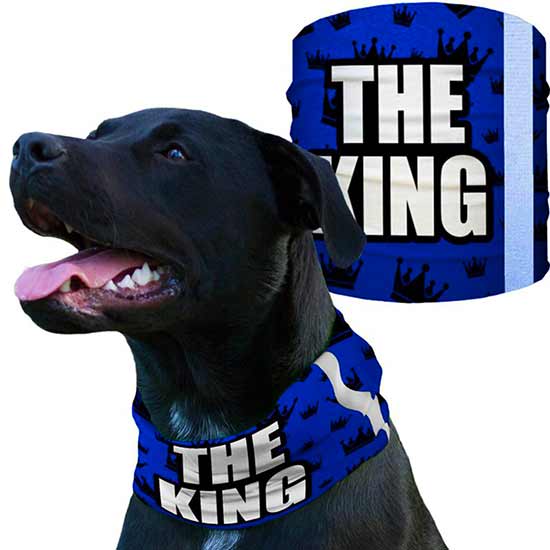 Dog Shieldss | The King - SA Company 